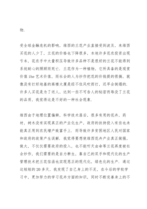 设计岗位实习报告.docx