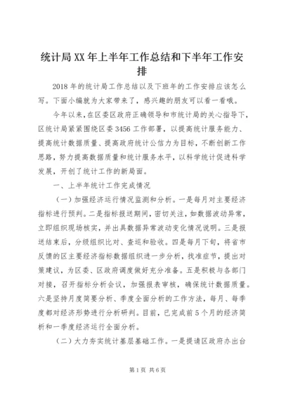 统计局XX年上半年工作总结和下半年工作安排.docx