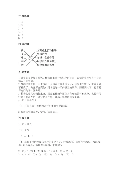 科学四年级下册第一单元植物的生长变化测试卷精品（易错题）.docx