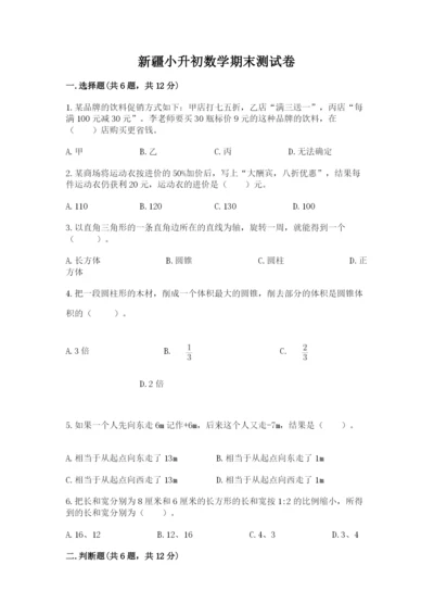 新疆小升初数学期末测试卷【word】.docx