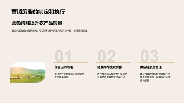 农产品双十一营销策略
