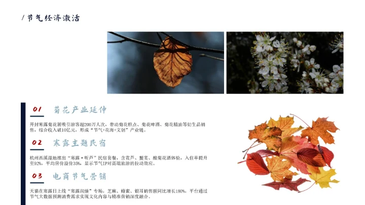 瓷青色简约风寒露节气PPT模版