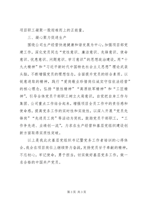 基层党组织书记暨党务工作者培训心得体会.docx