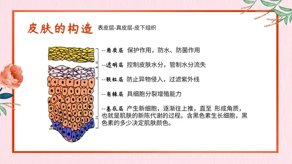 日常美容小知识总结PPT模板