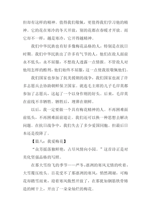 我爱梅花作文300字.docx