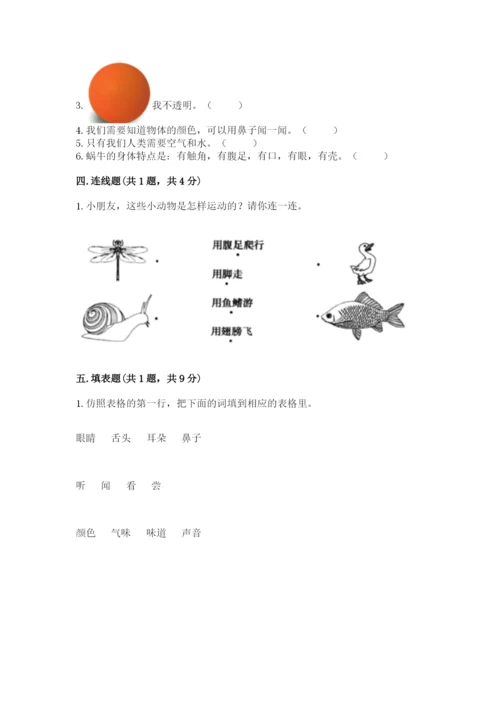 教科版小学科学一年级下册期末测试卷附答案（预热题）.docx
