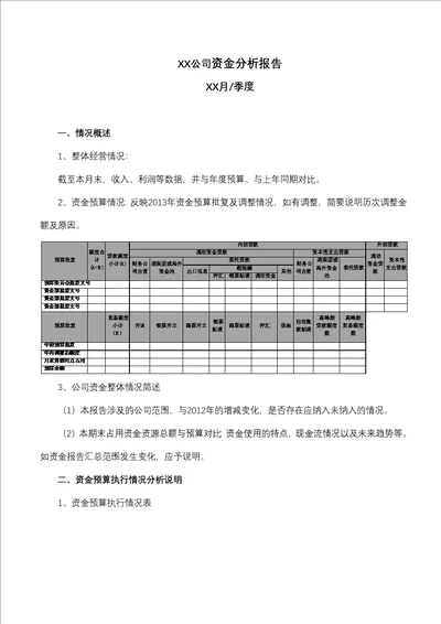 2013年资金分析报告模板