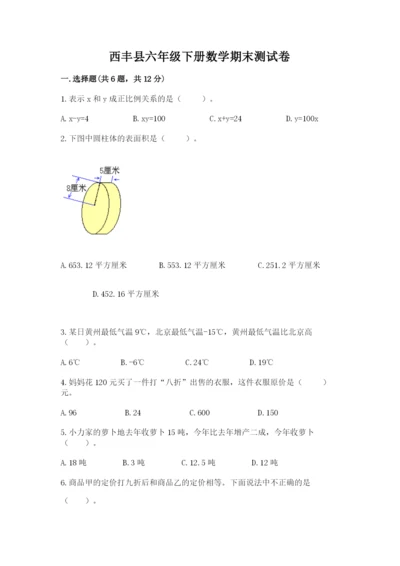 西丰县六年级下册数学期末测试卷带答案.docx