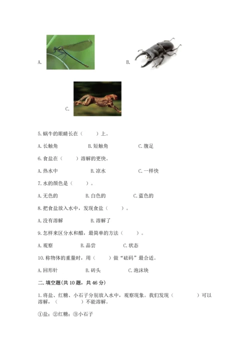 教科版一年级下册科学期末测试卷带答案（新）.docx