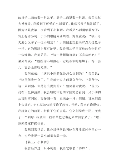 小刺猬作文600字.docx