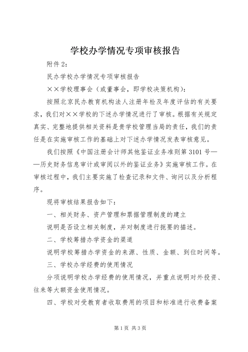 学校办学情况专项审核报告 (2).docx