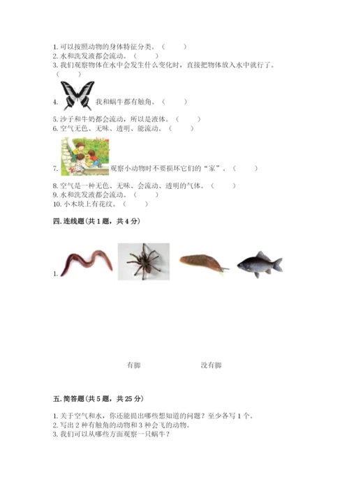 教科版一年级下册科学期末测试卷及参考答案（培优b卷）.docx