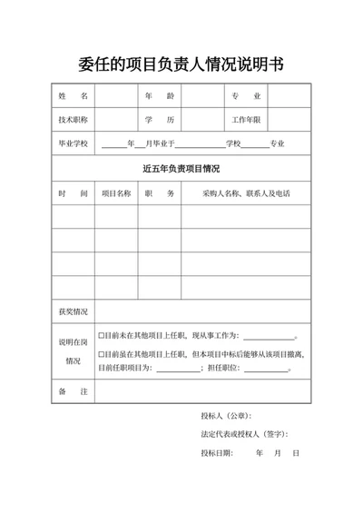 委任的项目负责人情况说明书
