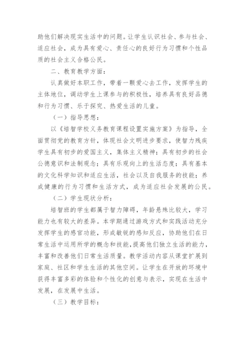 培智班生活适应教学工作总结.docx