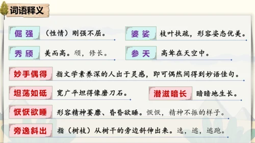 15 白杨礼赞 课件