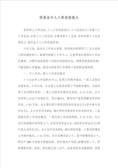 经发办个人工作总结范文