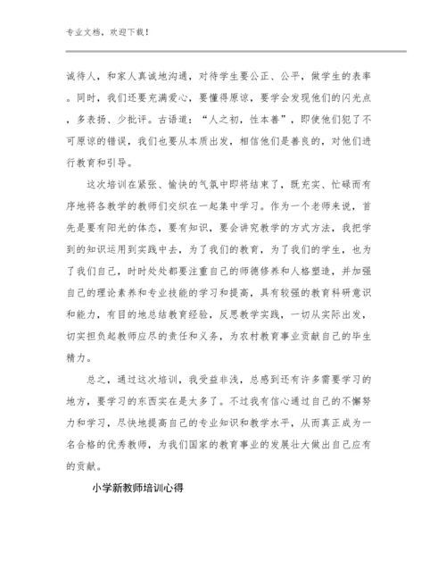 2024年小学新教师培训心得优选例文25篇文档合集.docx