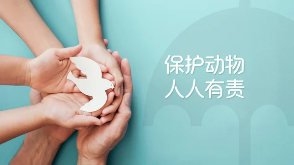 《世界动物日》生态地球保护地球通用PPT模板