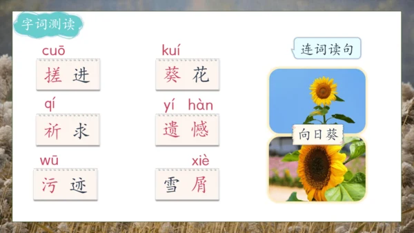 【核心素养】部编版语文四年级下册-21.芦花鞋（课件）