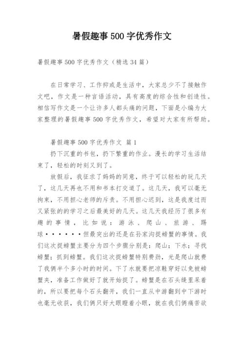 暑假趣事500字优秀作文.docx