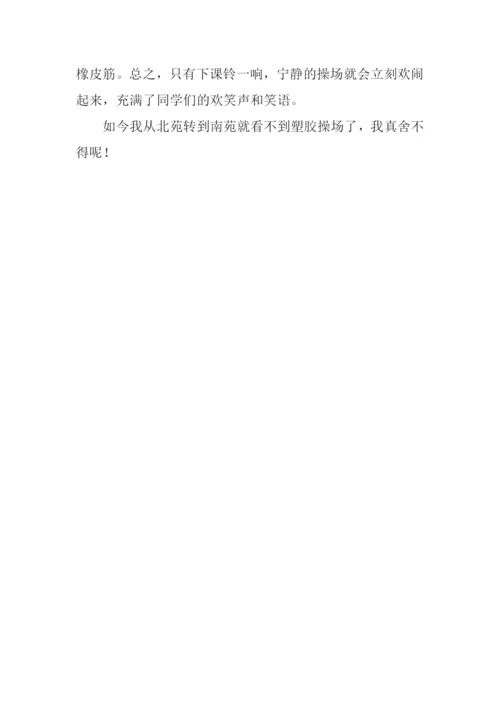 校园一角作文200字四年级.docx