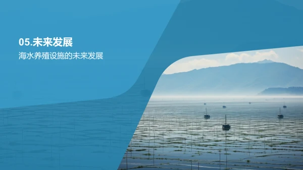 海水养殖：挑战与机遇