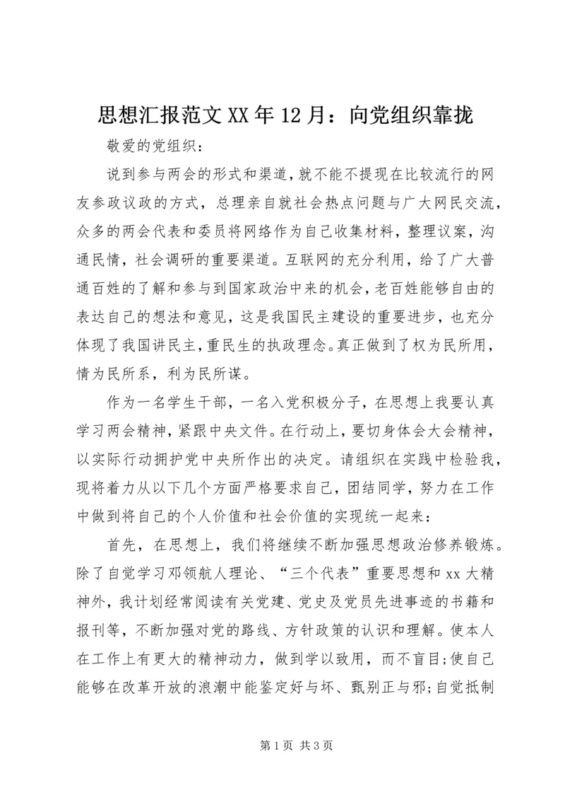 思想汇报范文XX年12月：向党组织靠拢.docx