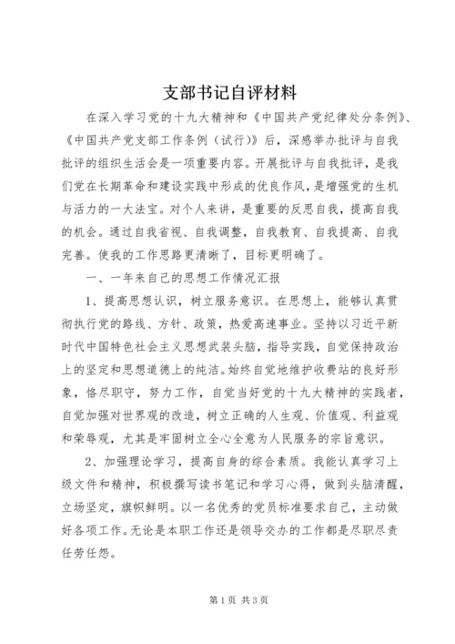 支部书记自评材料.docx