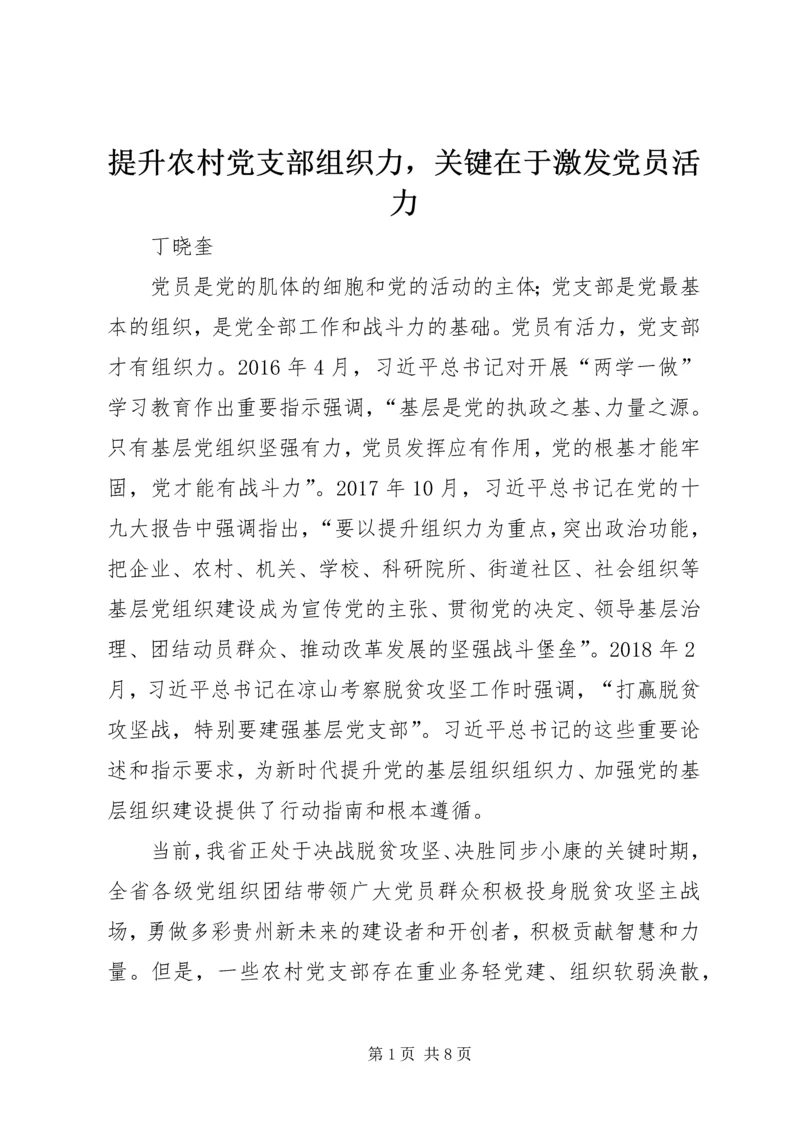 提升农村党支部组织力，关键在于激发党员活力.docx