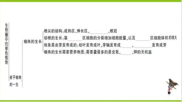 【掌控课堂-创优作业】人教版生物七(上)第三单元 第一、二章总结训练 (课件版)