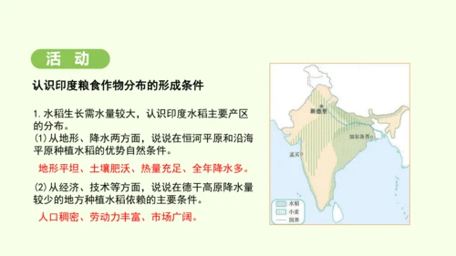 8.3 印度（课件35张）-2024-2025学年七年级地理下学期人教版(2024)