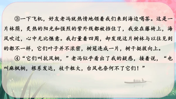 15《白杨礼赞》课件