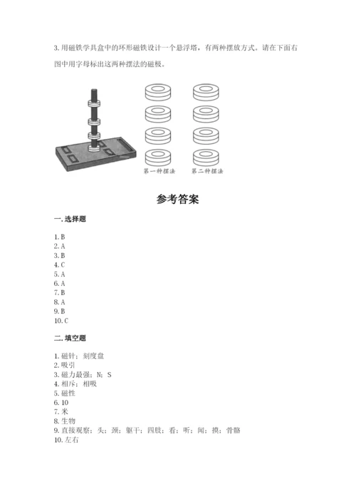教科版小学科学二年级下册 期末测试卷【巩固】.docx