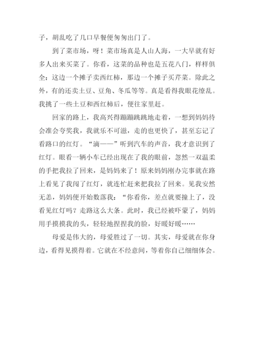 妈妈的手作文800字-5.docx