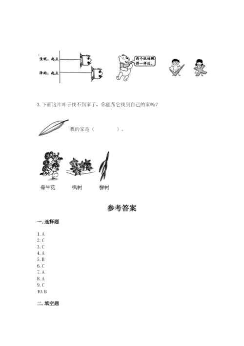 教科版一年级上册科学期末测试卷及答案【基础+提升】.docx