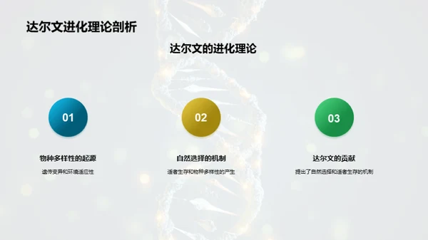 商务风教育培训教学课件PPT模板