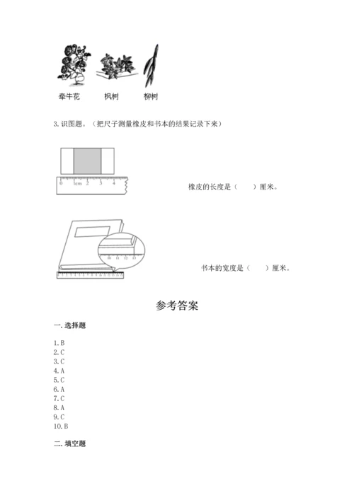 教科版一年级上册科学期末测试卷a4版.docx