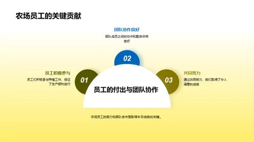 稻田革新：丰收之路