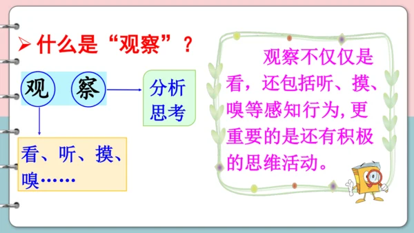 第15课《搭船的鸟》（第一课时）课件