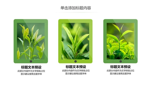 茶文化茶叶绿茶产品介绍动态PPT模板