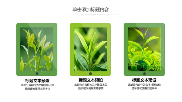 茶文化茶叶绿茶产品介绍动态PPT模板