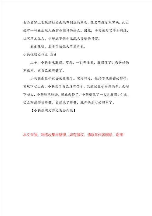 小狗说明文作文集合六篇