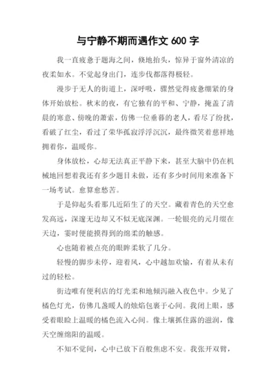 与宁静不期而遇作文600字.docx