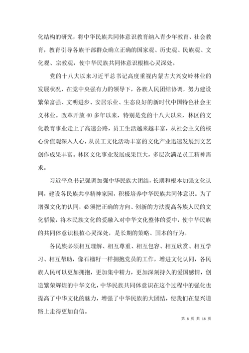 （精选）铸牢中华民族共同体意识研讨发言材料范文(通用11篇).docx