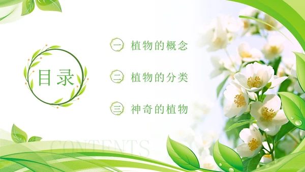 植物介绍简约绿色树叶花卉线条知识科普