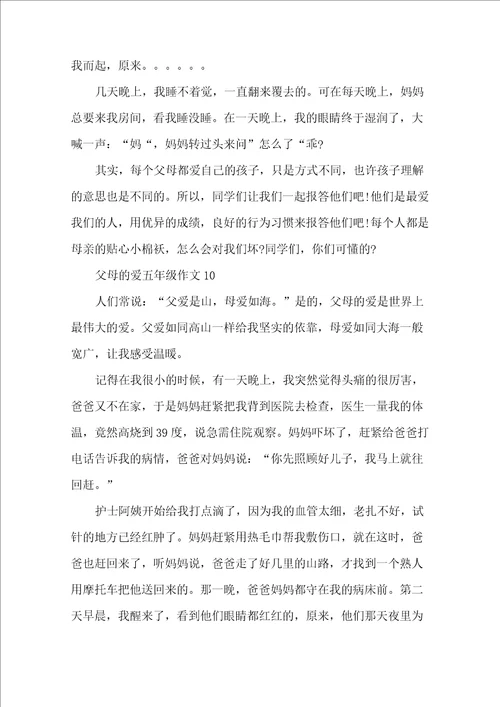 父母的爱五年级作文