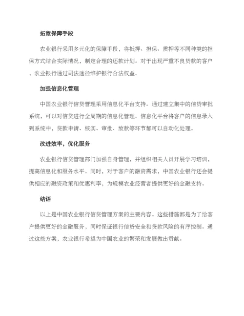 农行信贷管理方案.docx