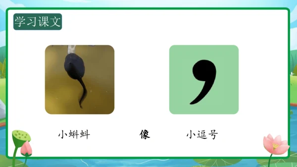 课文7《青蛙写诗》（教学课件）