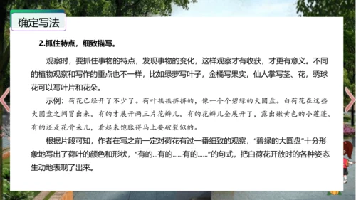 统编版三年级语文下册单元作文能力提升第一单元+习作：我的植物朋友（教学课件）