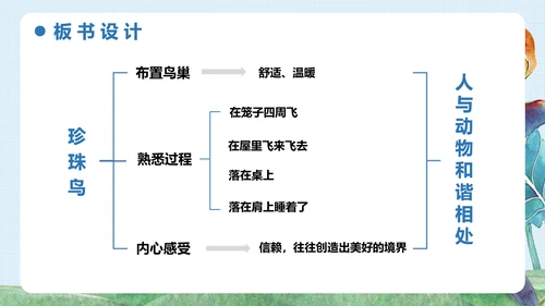 《珍珠鸟》五年级语文课件PPT模板